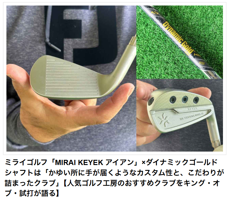 地クラブ系ヘッド MIRAI MK-04 MODEL アイアン (4層メッキ) IRON HEAD #5-#PW ミライ ミライゴルフ「MIRAI KEYEK アイアン」×ダイナミックゴールドシャフト